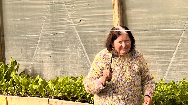 Residente en el invernadero de la huerta